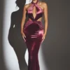 Adriana Velvet Halter Neck Maxi Dress in Wine Adriana Velvet Halter Neck Maxi Dress in Wine