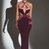 Adriana Velvet Halter Neck Maxi Dress in Wine Adriana Velvet Halter Neck Maxi Dress in Wine