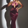 Adriana Velvet Halter Neck Maxi Dress in Wine Adriana Velvet Halter Neck Maxi Dress in Wine