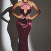 Adriana Velvet Halter Neck Maxi Dress in Wine Adriana Velvet Halter Neck Maxi Dress in Wine