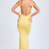 Aldona Slinky Jersey Floral-Appliqué Gown in Pastel Yellow Aldona Slinky Jersey Floral-Appliqué Gown in Pastel Yellow