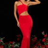 Kalina Jersey Asymmetric Cut Out Maxi Dress  in Scarlet Red