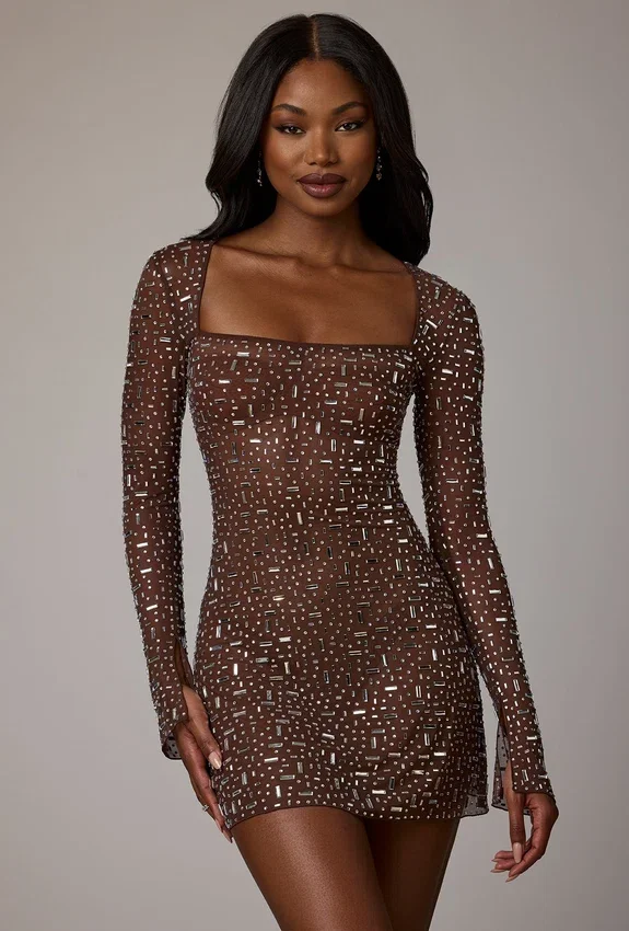 Zeta Sheer Embellished Long Sleeve A-Line Mini Dress in Deep Cocoa Zeta Sheer Embellished Long Sleeve A-Line Mini Dress in Deep Cocoa
