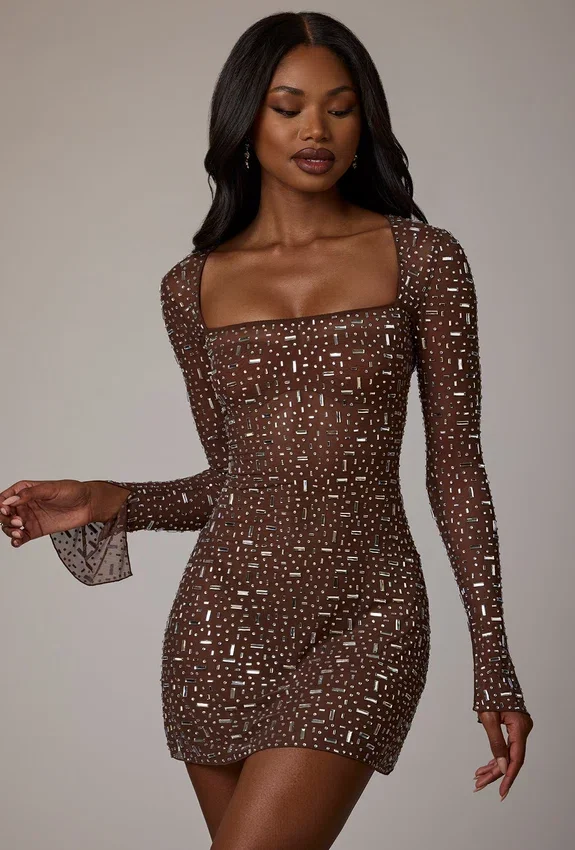 Zeta Sheer Embellished Long Sleeve A-Line Mini Dress in Deep Cocoa Zeta Sheer Embellished Long Sleeve A-Line Mini Dress in Deep Cocoa