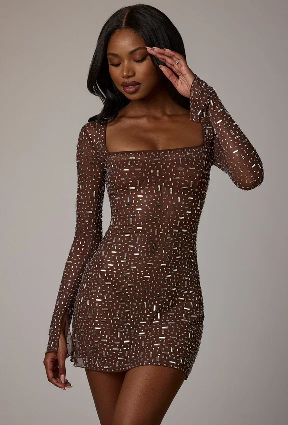 Zeta Sheer Embellished Long Sleeve A-Line Mini Dress in Deep Cocoa Zeta Sheer Embellished Long Sleeve A-Line Mini Dress in Deep Cocoa