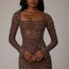 Zeta Sheer Embellished Long Sleeve A-Line Mini Dress in Deep Cocoa Zeta Sheer Embellished Long Sleeve A-Line Mini Dress in Deep Cocoa