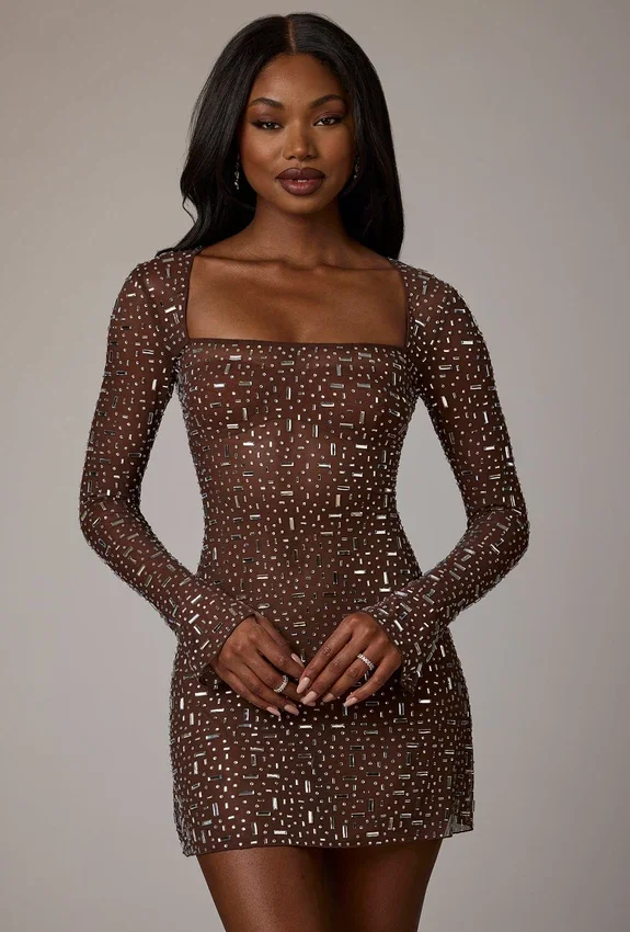 Zeta Sheer Embellished Long Sleeve A-Line Mini Dress in Deep Cocoa Zeta Sheer Embellished Long Sleeve A-Line Mini Dress in Deep Cocoa