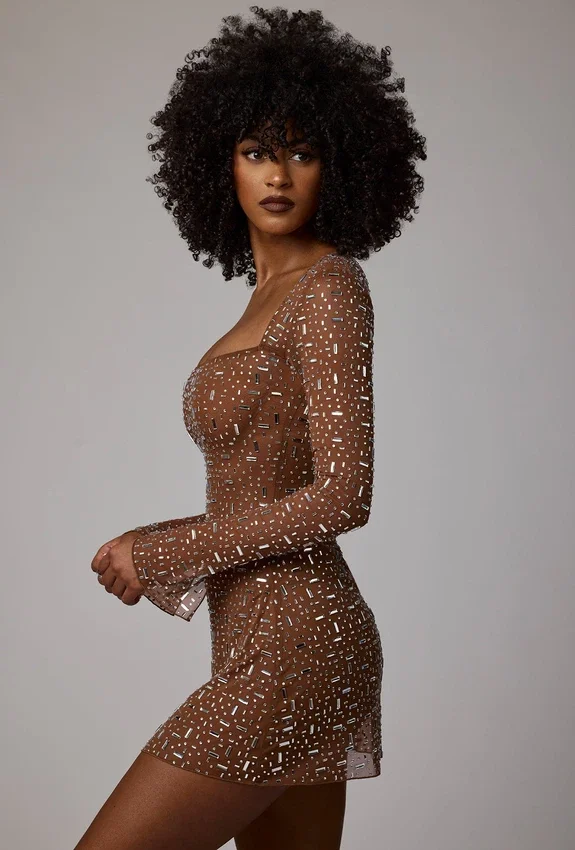 Zeta Sheer Embellished Long Sleeve A-Line Mini Dress in Mocha Zeta Sheer Embellished Long Sleeve A-Line Mini Dress in Mocha