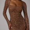 Zeta Sheer Embellished Long Sleeve A-Line Mini Dress in Mocha Zeta Sheer Embellished Long Sleeve A-Line Mini Dress in Mocha